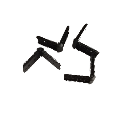 Name