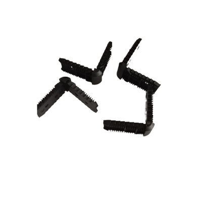 Name
